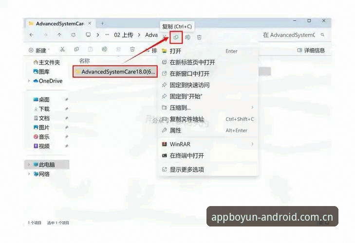 BOYUN下载使用技巧：从安装到数据查询的完整操作教程