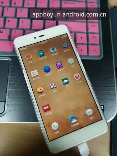 博云体育平台用户评价最新动态：v3.0.0版本体验深度剖析